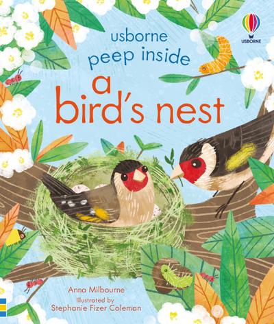 Peep Inside a Bird’s Nest