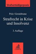 Strafrecht in Krise und Insolvenz