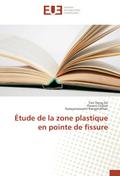 Étude de la zone plastique en pointe de fissure