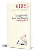 Bibel in Leichter Sprache