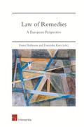 Law of Remedies
