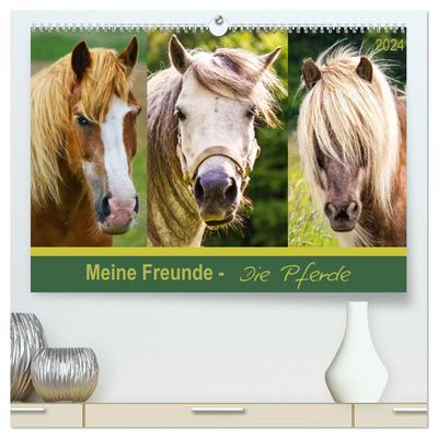 Meine Freunde - die Pferde (hochwertiger Premium Wandkalender 2024 DIN A2 quer), Kunstdruck in Hochglanz