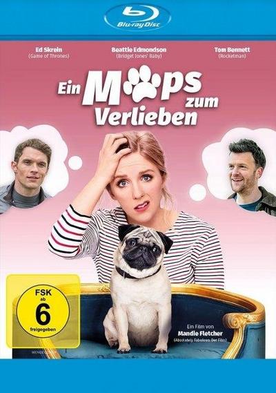 Ein Mops zum Verlieben