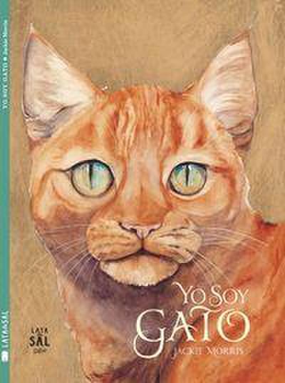 Yo Soy Gato- I Am Cat