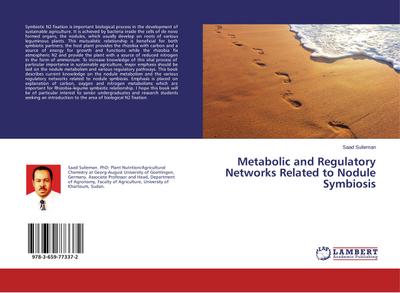 Metabolic and Regulatory Networks Related to Nodule Symbiosis