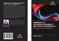 AMBIENTE DI SICUREZZA INDIANO E DELL’ASIA OCCIDENTALE