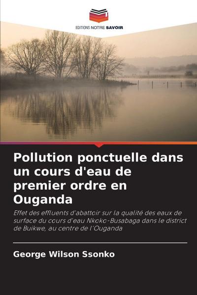 Pollution ponctuelle dans un cours d’eau de premier ordre en Ouganda