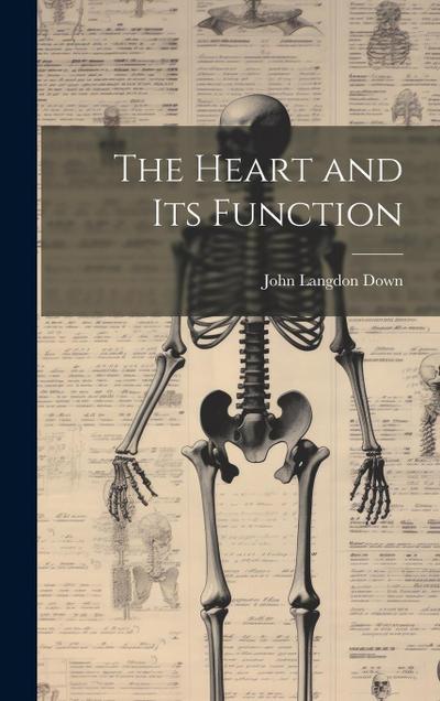 The Heart and Its Function
