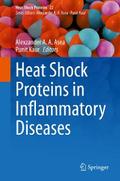 Heat Shock Proteins in Inflammatory Diseases