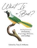 What Is a Bird?