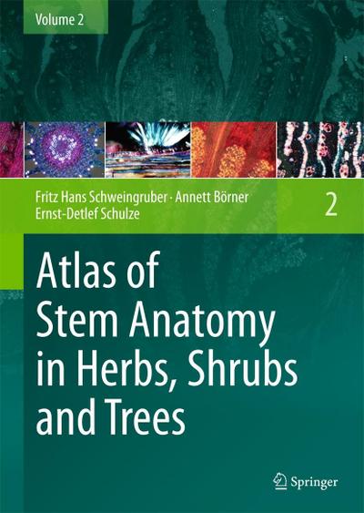 Atlas of Stem Anatomy in Herbs, Shrubs and Trees. Vol.2