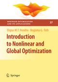 Introduction to Nonlinear and Global Optimization (Springer Optimization and Its Applications, 37, Band 37)