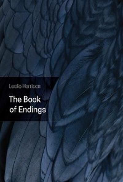 Book of Endings
