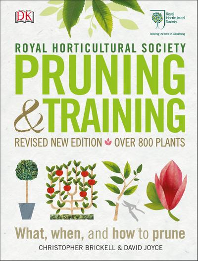 Brickell, C: RHS Pruning and Training
