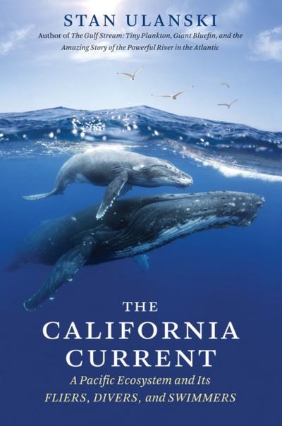 California Current