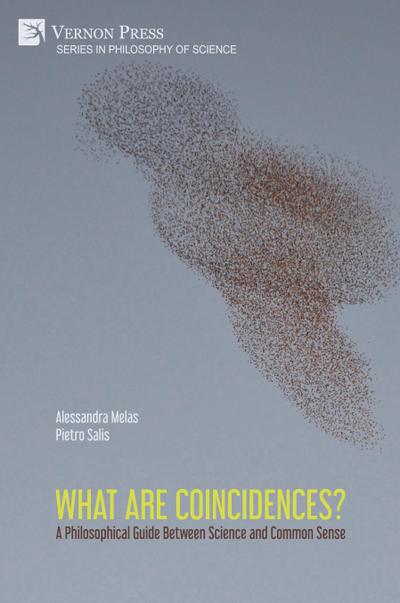 What are Coincidences? A Philosophical Guide Between Science and Common Sense