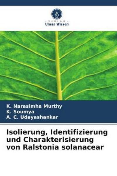 Isolierung, Identifizierung und Charakterisierung von Ralstonia solanacear