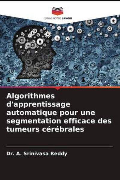 Algorithmes d’apprentissage automatique pour une segmentation efficace des tumeurs cérébrales