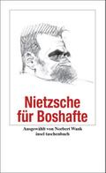 Nietzsche für Boshafte