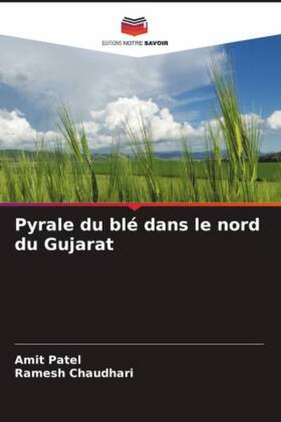 Pyrale du blé dans le nord du Gujarat