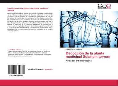 Decocción de la planta medicinal Solanum torvum