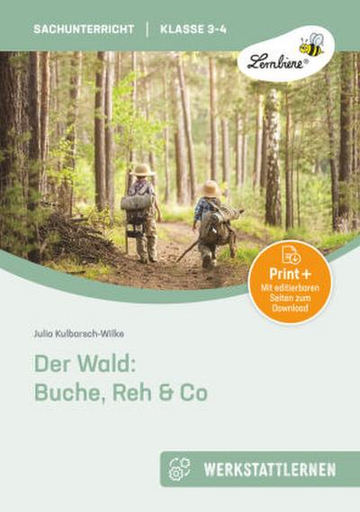 Der Wald: Buche, Reh & Co
