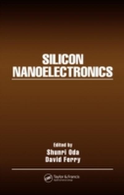 Silicon Nanoelectronics