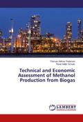 Technical and Economic Assessment of Methanol Prod