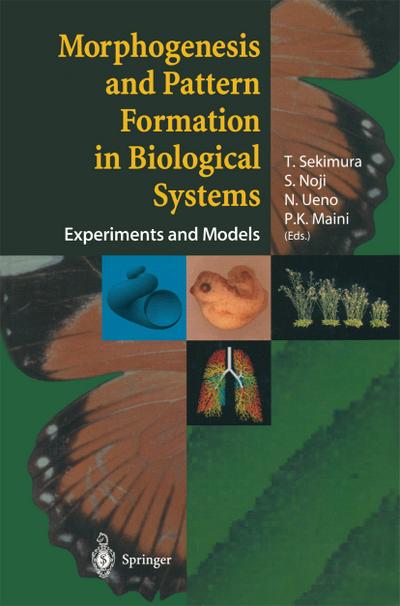 Morphogenesis and Pattern Formation in Biological Systems