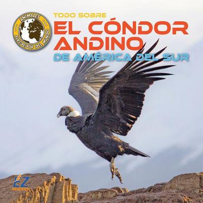 Todo Sobre El Cóndor Andino de América del Sur