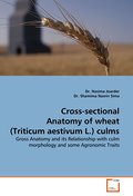 Cross-sectional Anatomy of wheat (Triticum aestivu
