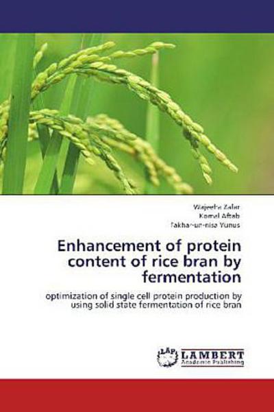 Enhancement of protein content of rice bran by fermentation