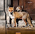 Der Fuchs in der Stadt