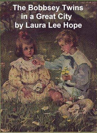 The Bobbsey Twins in a Great City