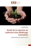 Etude de la réponse au cadmium chez Medicago trunc