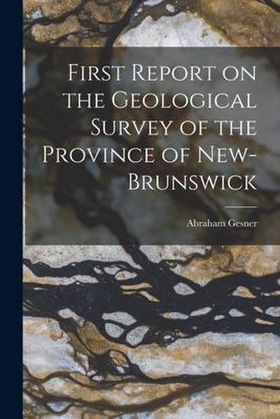First Report on the Geological Survey of the Province of New-Brunswick [microform]