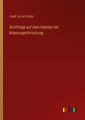 Streifzüge auf dem Gebiete der Nibelungenforschung