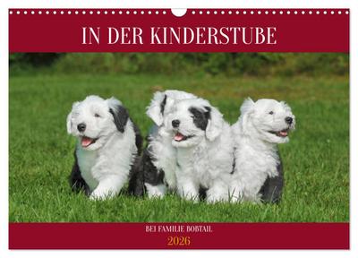 In der Kinderstube bei Familie Bobtail (Wandkalender 2026 DIN A3 quer), CALVENDO Monatskalender