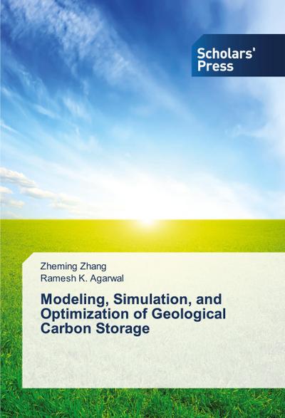 Modeling, Simulation, and Optimization of Geological Carbon Storage