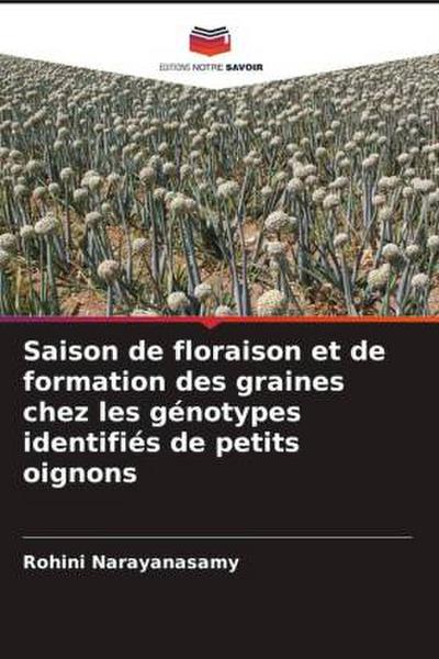 Saison de floraison et de formation des graines chez les génotypes identifiés de petits oignons