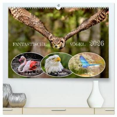 Fantastische Vögel (hochwertiger Premium Wandkalender 2026 DIN A2 quer), Kunstdruck in Hochglanz