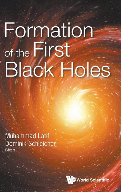FORMATION OF THE FIRST BLACK HOLES