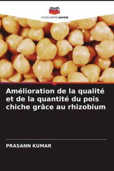 Amélioration de la qualité et de la quantité du pois chiche grâce au rhizobium