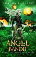 The Angel Bandit (Andul Guardians, #3)