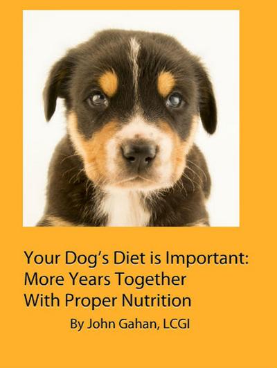 Your Dog’s Diet is Important: More Years Together With Proper Nutrition