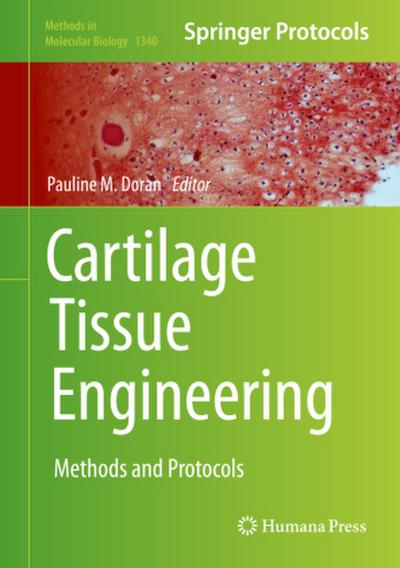 Cartilage Tissue Engineering