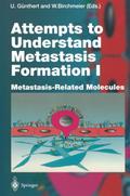 Attempts to Understand Metastasis Formation I