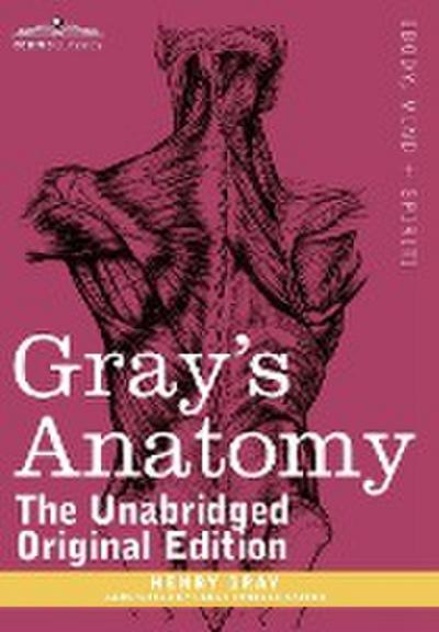 Gray’s Anatomy