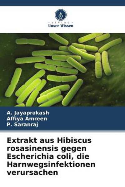 Extrakt aus Hibiscus rosasinensis gegen Escherichia coli, die Harnwegsinfektionen verursachen