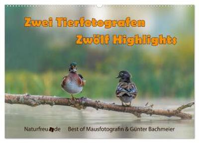 Zwei Tierfotografen Zwölf Highlights (Wandkalender 2026 DIN A2 quer), CALVENDO Monatskalender